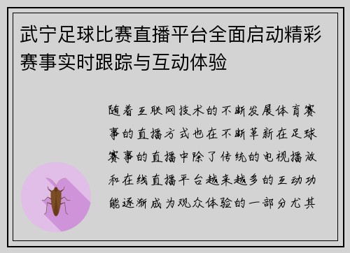 武宁足球比赛直播平台全面启动精彩赛事实时跟踪与互动体验